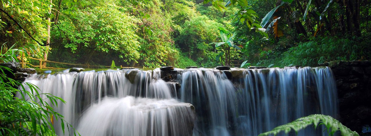 ⭐稳定包售后的
谷歌实名号
在哪买的不容易封号